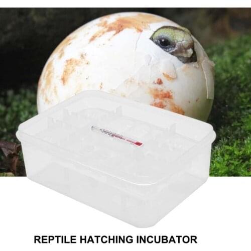 Practical Plastic 16 Grids Plastic Reptiles Egg Incubator Tray Lizard Snake Eggs Hatcher Box Incubation Tool Terrariums