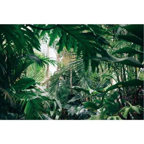 Dusty Green Tropical Leaves Backdrop Holiday Photography Background Celebration Photo Booth Studio Decor