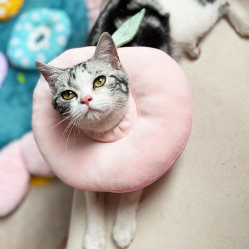Soft Kitten Cone Wear-resistant Soft Flexible Apple Shaped Cat Neck Cone for Home Cats Kitten Collars Accessories Supplies