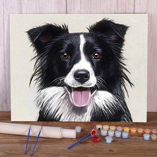 Animal Border Collie Paint By Numbers Kit Oil Paints 50*70 Painting On Canvas Home Decor Children Drawing