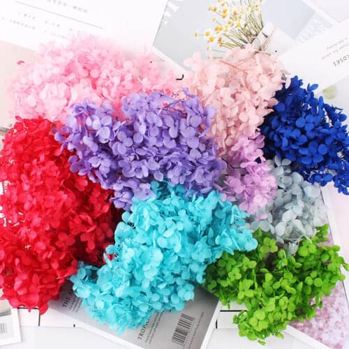 5g/lot Real Dry Flower Dry Plants Hydrangea DIY Aromatherapy For Epoxy Pendant Necklace Jewelry Candle Making Craft Accessories
