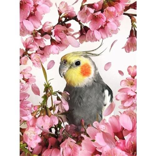 GATYZTORY 40×50CM DIY Painting By Numbers HandPainted Oil Painting Adult Child Parrot Picture Colouring Home Decor Unique Gift