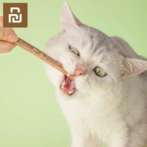 8PCS Pets Snack Pets Cats Teeth Cleaning Natural Catnip Molar Toothpaste Chew Silvervine Sticks Actinidia Polygama