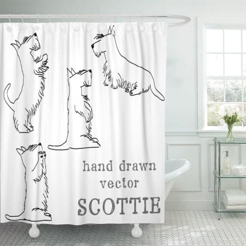 Sketches of Four Cute Scottish Terriers in Different Poses Shower Curtain Polyester 60 x 72 inches Set with Hooks
