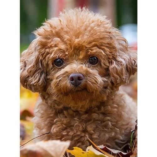 Animal Dog DIY 11CT Embroidery Cross Stitch Kits Needlework Craft Set Printed Canvas Cotton Thread Home Decoration Hot Sell