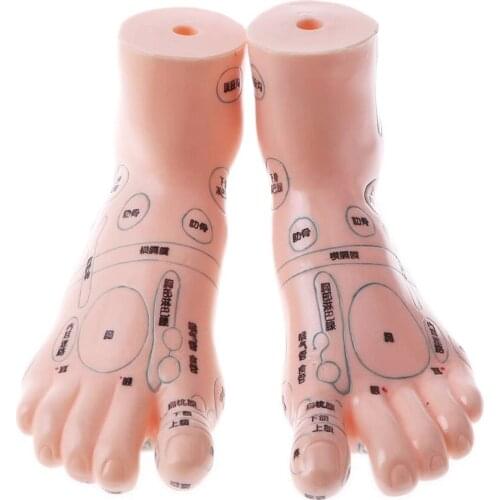 Foot Acupuncture Model Plantar Acupoint Model Foot Reflex Zone Massage Model Acupuncture Point Teaching Aids 1 Pair