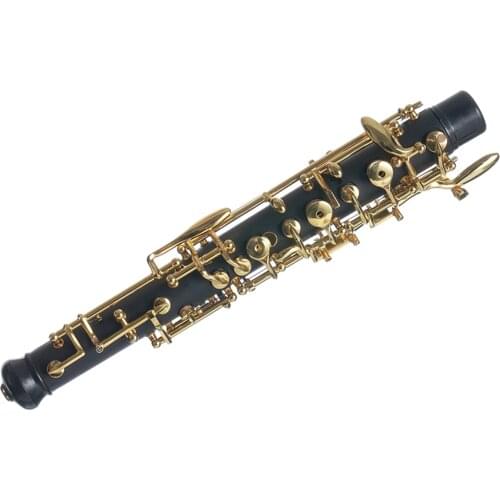 Clarinet ABS 17 Key bB Flat Soprano Clarinet with Cleaning Cloth Gloves 10 Reeds