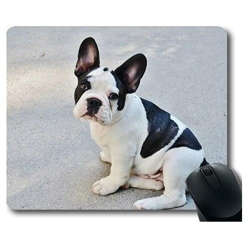 Dogs Galore Mouse Pad,French Bulldog Dog Puppy Pet Animals Bulldog Puff,dogs mouse mat