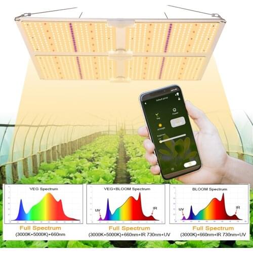 Bluetooth Smart APP LED Grow Light Full Spectrum 3000K 5000K UV IR Hydroponic Commercial Cultivation,AC110-270V Meanwell Driver