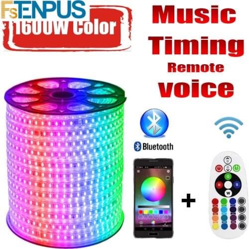 LED Strip 220v RG 16 Colors 5050 RGB Outdoor Waterproof IP68 20M 30M 60M Remote control LED Strip RGB