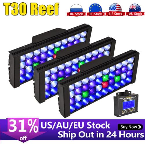 PopBloom LED Lightening