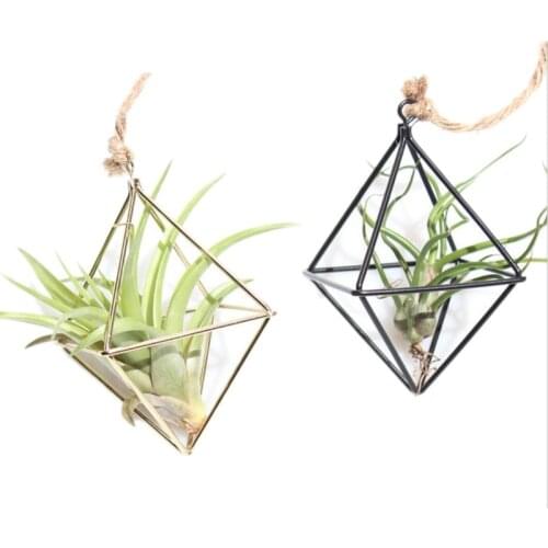 Hanging Tillandsia Air Plants Rack Metal Geometric Iron Art Rustic Flower Planter Pot Plants Rack For Home Garden