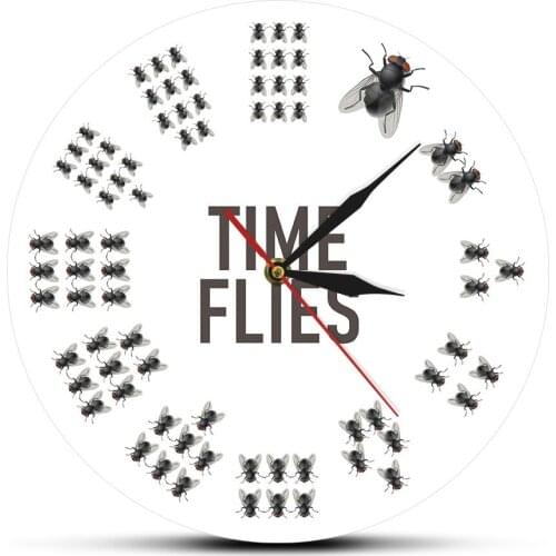 Funny Flies Inspired Time Flies Wall Clock No Numbers Infinite Moments Timeless Modern Pun Joke Entertaining Novelty Wall Watch