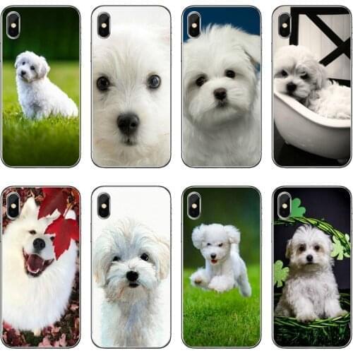 Silicone Phone Case white Maltese dog For Huawei Honor 20 10i 9X 10 Lite 8S 8C 8X 7C 7X 7A 6C Pro 6 6A 6X 5C V10