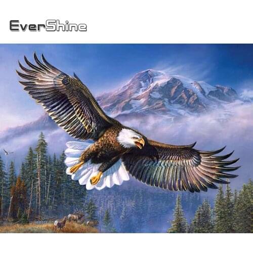 EverShine 5D Diamond Painting Full Drill Square Eagle Cross Stitch Handwork Gift Diamond Embroidery Sale Animals Wall Decor