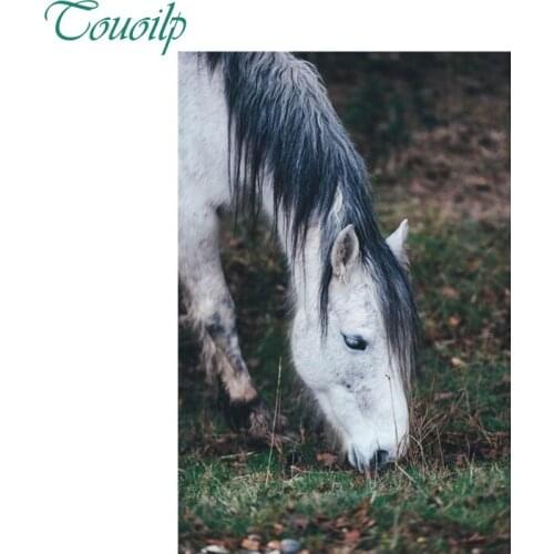 5D Diy diamond painting crystalPainting diamonds decorative diy diamond embroidery kits White horse prairie lonely round