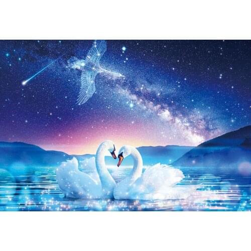 Jmine Div 5D Swan Mountain Galaxy Full Diamond Painting cross stitch kits art High Quality Animal 3D paint by diamonds