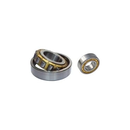 Gcr15 NJ2219 EM or NJ2219ECM (95x170x43mm)Brass Cage Cylindrical Roller Bearings ABEC-1,P0