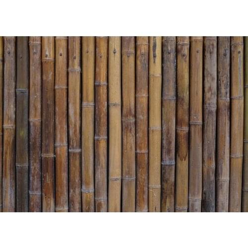 Bamboo Wall Photography Backgrounds Vinyl Backdrop for Photo Studio Portrait Children Baby Shower Party Photoshoot Photobooth