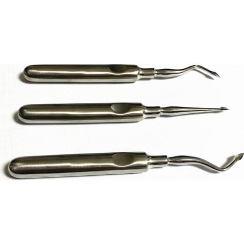 3Pcs Stainless Steel Dental Luxating Lift Elevator Teeth Clareador Curved Root Hexagon Handle Dentist Surgical Instrument Tool