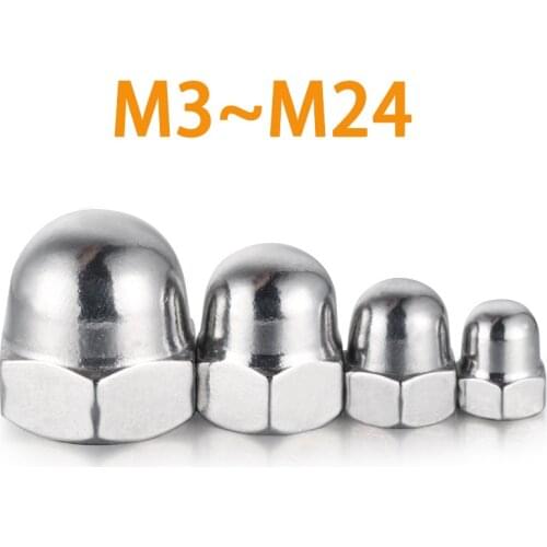 Free Shipping 50/30/20/10/6/5PCS Acorn Cap Nut M3 M4 M5 M6 M8 M10 M12 Stainless Steel Decorative Dome Cap Nuts Blind Nuts
