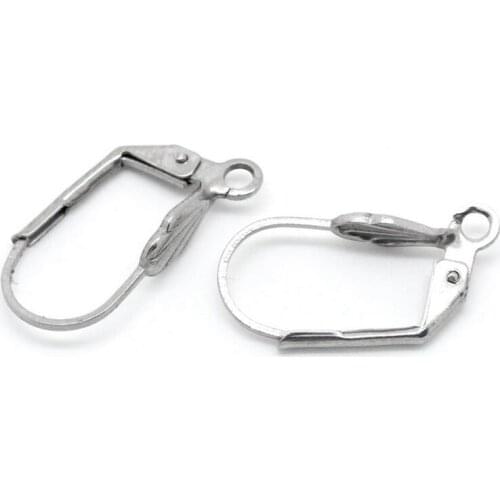 20PCS Fine Jewellery Components Genuine 316L stainless steel Handmade Beadings Findings Earring Hooks Leverback Earwire Fittings