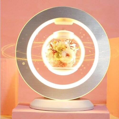 ZAOXI Designer Original Lamps