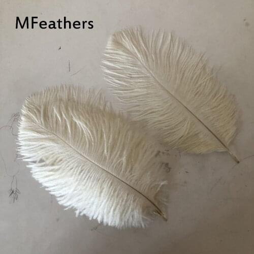 Wholesale 10PCS/lot Elegant Beige Ostrich Feathers 15-20cm For Craft Wedding Party Supplies Carnival Dancer Decorations Plumages