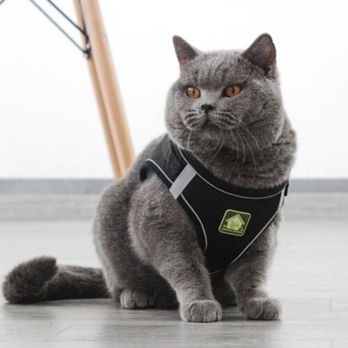 Dog/Cat Harness And Leash Set For Chihuahua Pug Small Medium Nylon Mesh Puppy Cat Harnesses Vest Reflective