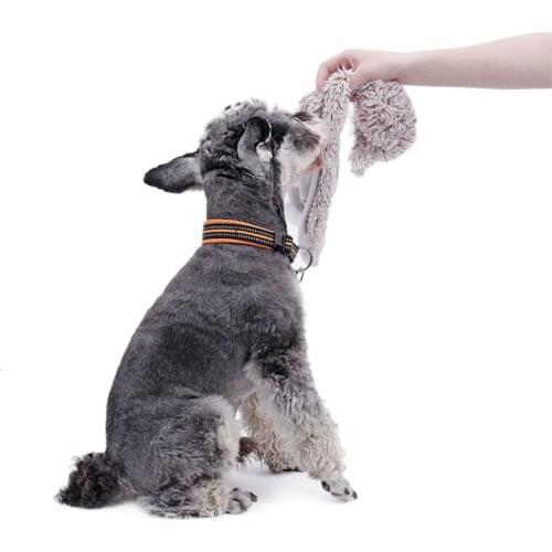 Speedy pet Dog Toys