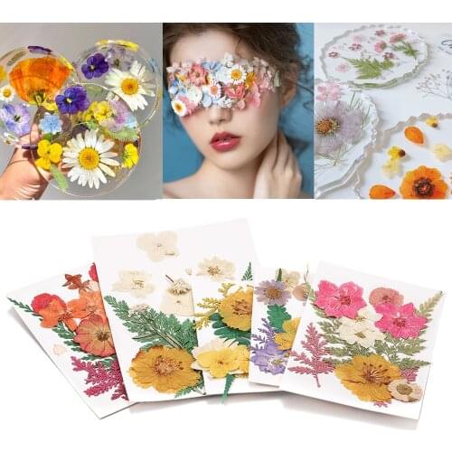 Natural Real Dried Flower Dry Plants UV Epoxy Resin Mold Fillings Nail Art Sticker Decals Candle Decor For DIY Jewelry Making