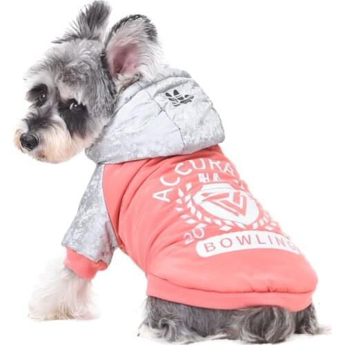 Orange Blue Clothes Chihuahua XS XXL XXXL Pet Matching Outfit Dog Sweatshirt With Letter Print Small Medium Pugs Medium Supplies