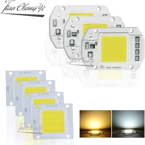 10W 20W 30W 50W 100W LED COB Lamp Chip High Power LED Diode Matrix Array 30V 110V 220V LED Spotlight Bulb Floodlight Lampada