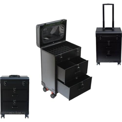 Cosmetic-Bag Beauty Cases