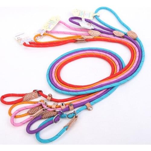 Puppy Pet Products Leash Collar Harness Puppy Pet Cat Accessories Durable Breakaway Dog Leash Lead Basic Leashes for Large Dog