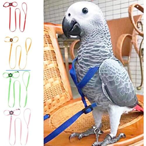 Pet Bird Harness and Leash Adjustable Parrot Bird Harness Leash Pet Anti Bite Training Rope Soft Portable Pet Playthings Outdoor