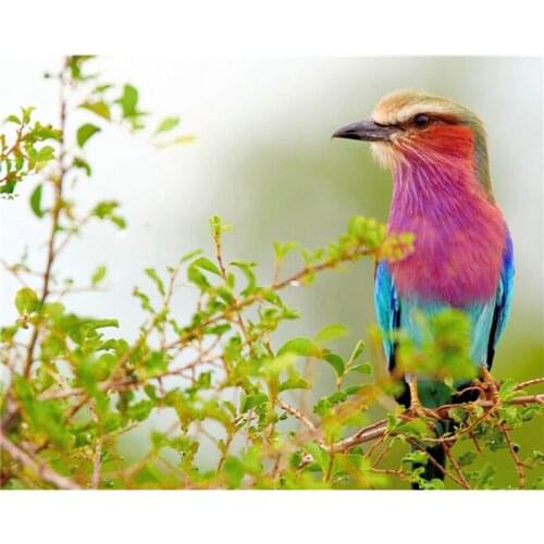 Rhinestone painting crystal Home Decor DIY Diamond painting Spring bird 3D cross stitch pattern diamond embroidery A5407R