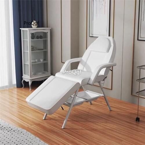 Prodgf 1Pcs A Set Classic ins Spa European Salon Chair