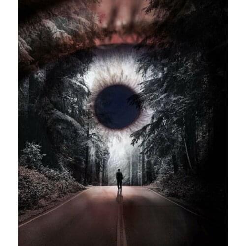 JMINE Div 5D Boy Eye Tree Road forest Full Diamond Painting cross stitch kits art High Quality arist 3D paint by diamonds