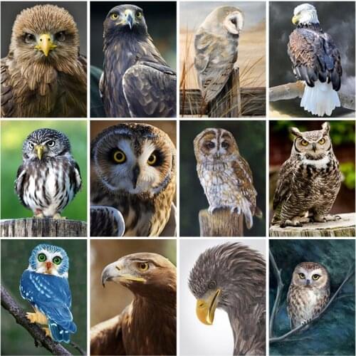 DIY Owl 5D Diamond Painting Full Square Drill Animal Birds Diamond Embroidery Cross Stitch Rhinestone Kit Home Decor Wall Art