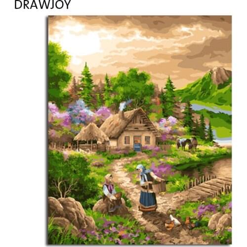 DRAWJOY Framed Picture DIY Painting By Numbers DIY Oil Painting On Canvas Home Decoration For Living Room 40*50cm