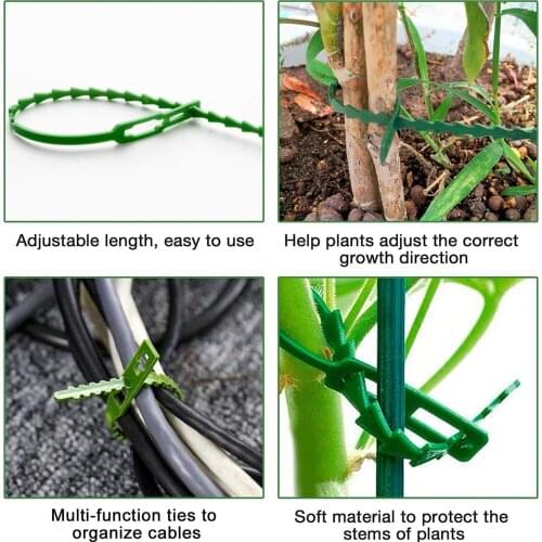 50pcs/lot Reusable Garden Cable Ties Plant Support Shrubs Fastener Tree Locking Nylon Adjustable Plastic Cable Ties Tools Care