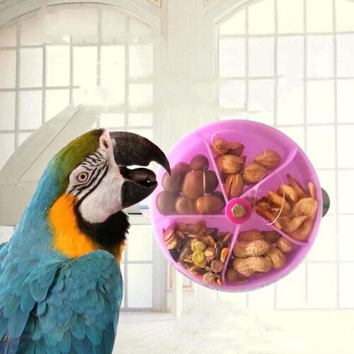 New Parrot Brain Game Toy Funny Parrot Roller Feeder Device Toys Wheels Cake Modeling Design Food Box Pet Supplies