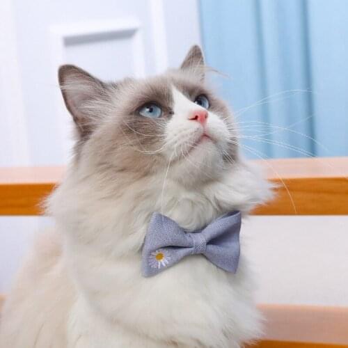 New Fashion Simple Cute Pet Cat Casual Collar Plain Color Quilted Embroidery Bow Single Collar Jewelry Cat Collar Pet Supplies