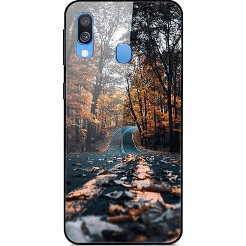 For Samsung Galaxy A20e Phone Case Tempered Glass Case Back Cover Series 2