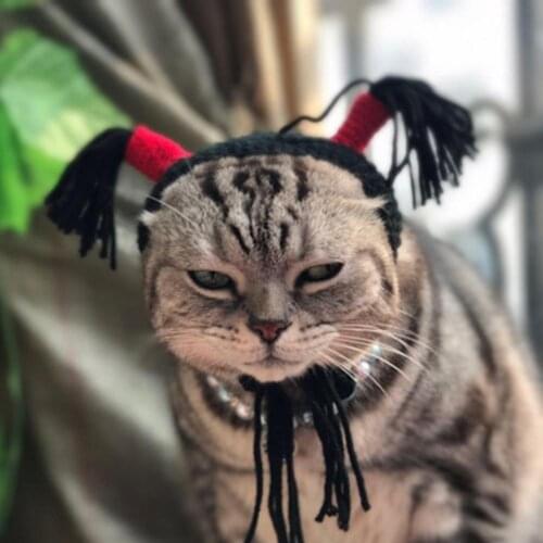 Funny Halloween Pet Cats Dogs Hair Hoop Headband Decor Headpiece Cosplay Prop