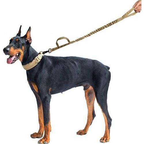 Nylon Pet Leash Big Dog Collar Outdoor Large Dogs Traction Rope Harnesses Adjustable Dog Belt Dog Training Sets Pet Supplies