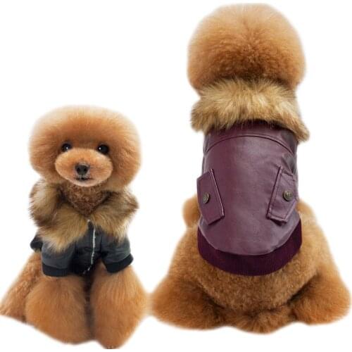 Autumn and Winter Dog Cotton Coat Teddy Small and Medium-sized Dog Clothes Winter Fur Collar Leather Jacket Puppy Clothes