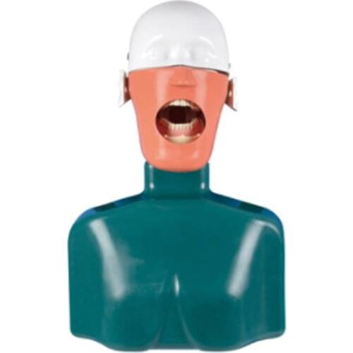 Dental oral teaching tooth model head model training system simulation head