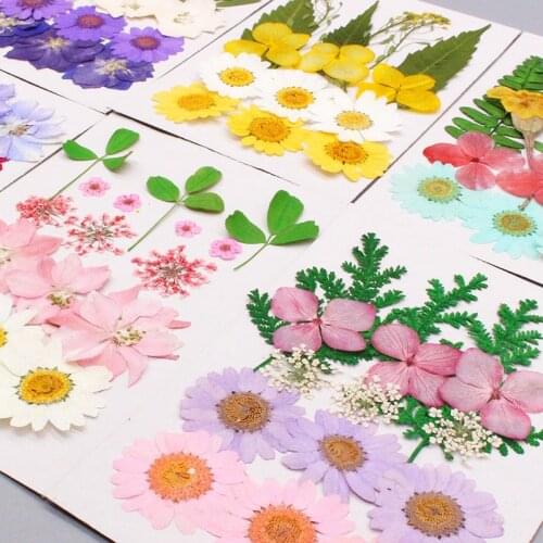 Dry Embossed Petal Makeup Face Decoration Nail Drop Glue Phone Case Kindergarten Manual Sticker Candle DIY Supplies Mothers Day